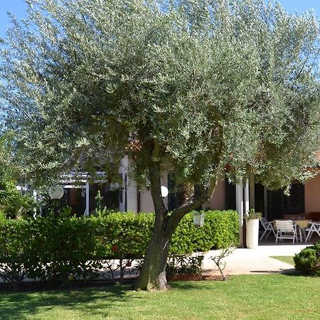 Villa Paola Fontane Bianche Exterior photo